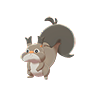 Skwovet