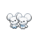 Recent gevangen Pokémon Tandemaus