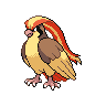Birdy