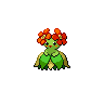 Bellossom