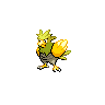 Spearow