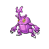 Heracross