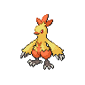 Combusken