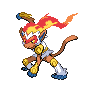 Chimchar