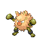 Primeape