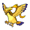 Mega Pidgeot