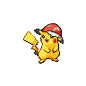 Pikachu Kalos Pet