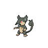 Rattata Alola