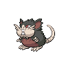 Raticate Alola